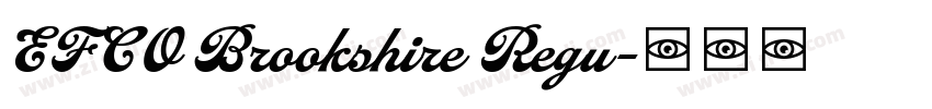 EFCO Brookshire Regu字体转换